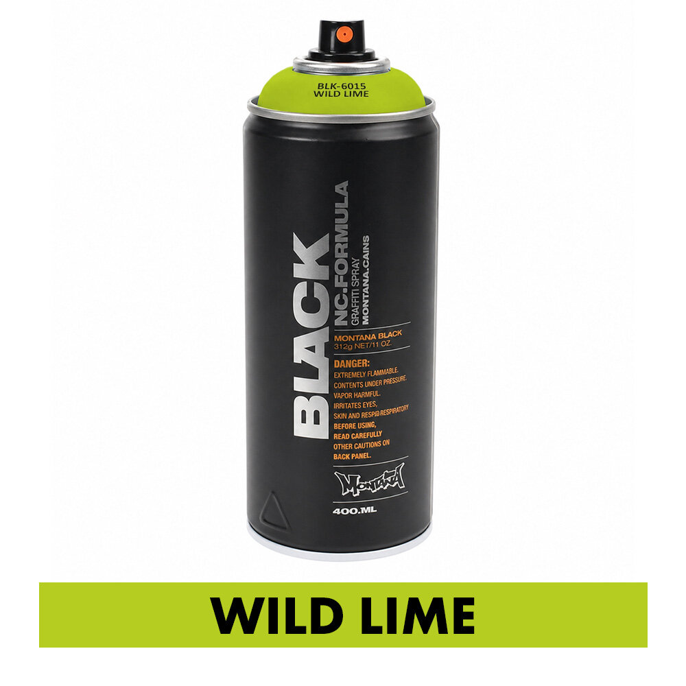 Spray paint wild lime (6015) 400 ml, 5,50 €