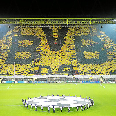 Bandes de toile plastifiée 50x75 cm - gris