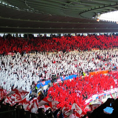 Plastic film stick Argentina 140x30cm- white