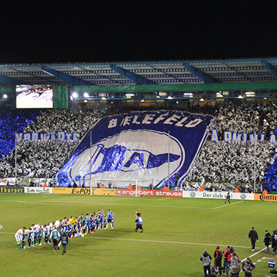 Drapeau en Film Métallique au Format Portrait 90x75 Bleu