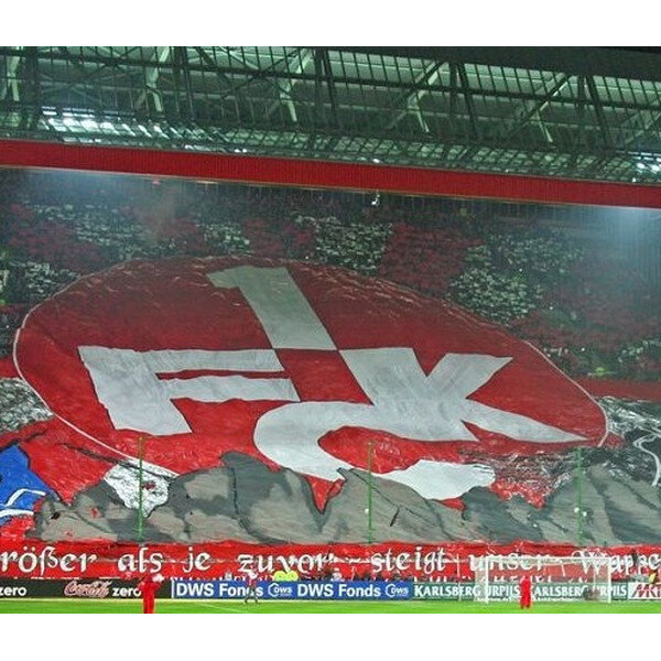 Rouleaux de toiles plastifiées premium - 2x50m - rouge