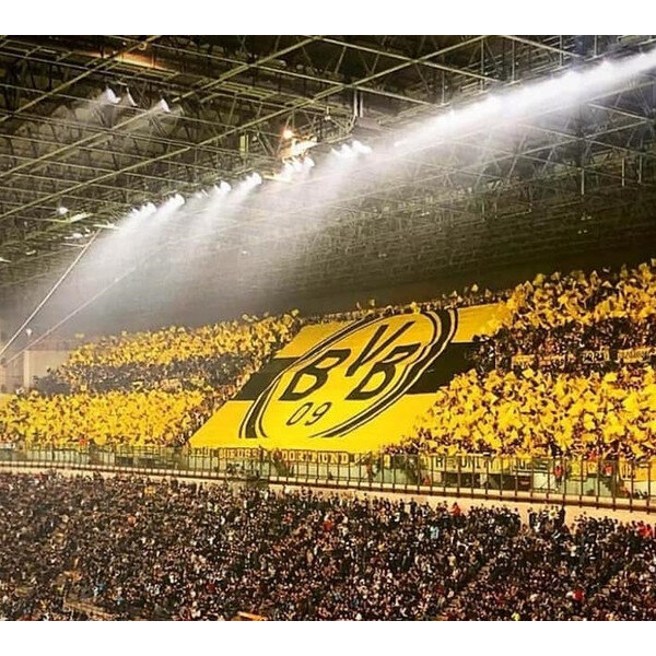 Rouleaux de toiles plastifiées premium - 2x50m - jaune