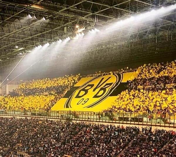 Rouleaux de toiles plastifiées premium - 2x50m - jaune