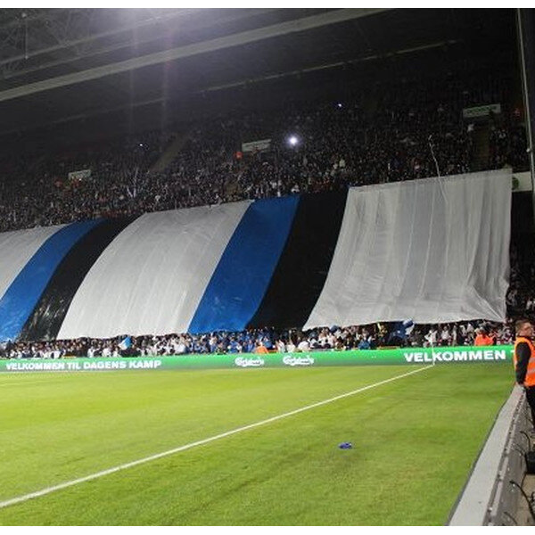 Rouleaux de toiles plastifiées premium - 2x50m - blanc