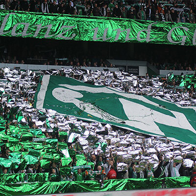 Toiles à bandes métalliques premium 75x50 cm - vert (inflammable)